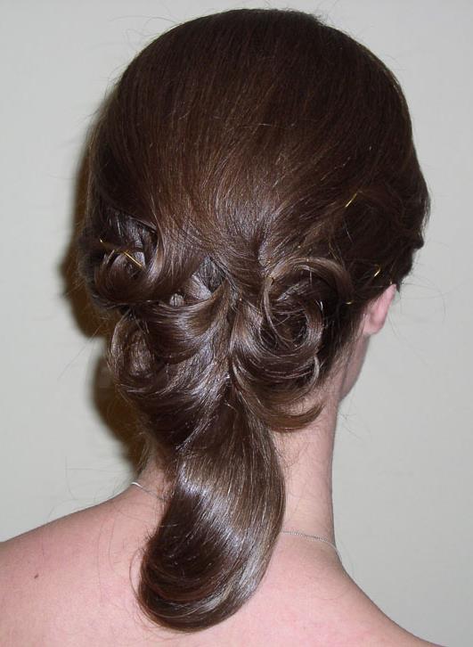 Hair updo image #4